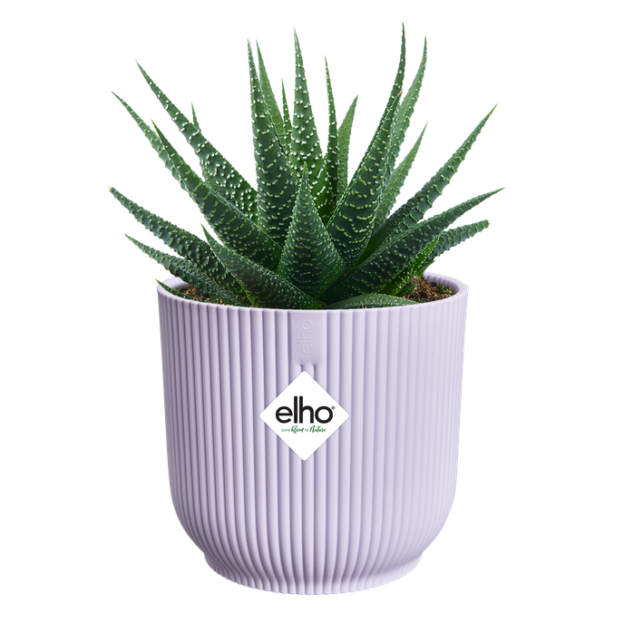 vibes fold rond mini 7cm zacht lila